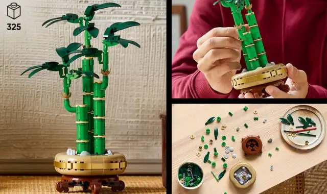 LEGO Botanicals Bambù del Buon Auspicio