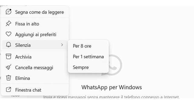 WhatsApp: tutto quello che bisogna sapere sui gruppi