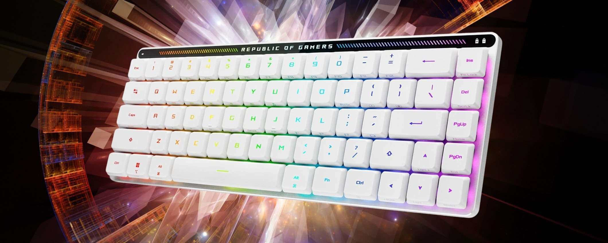 ASUS ROG Falchion RX: tastiera wireless da gaming compatta per prestazioni da Gamer
