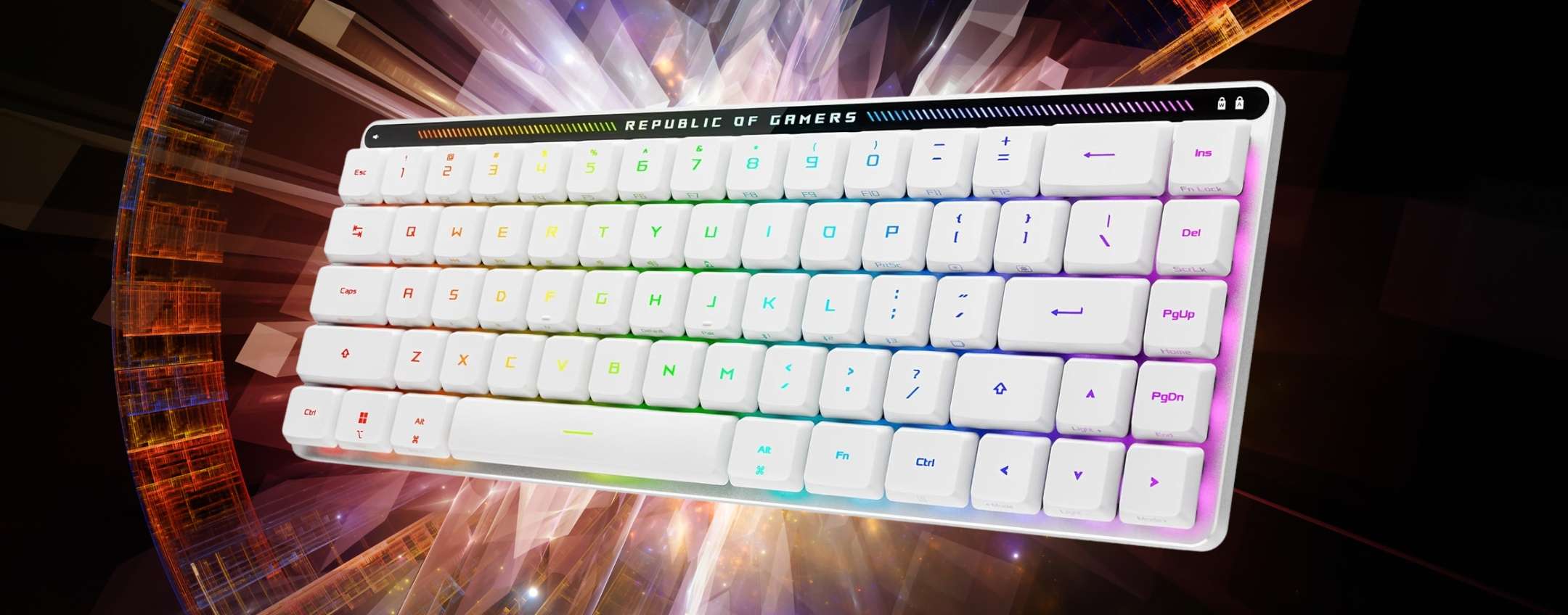 ASUS ROG Falchion RX: tastiera wireless da gaming compatta per prestazioni da Gamer