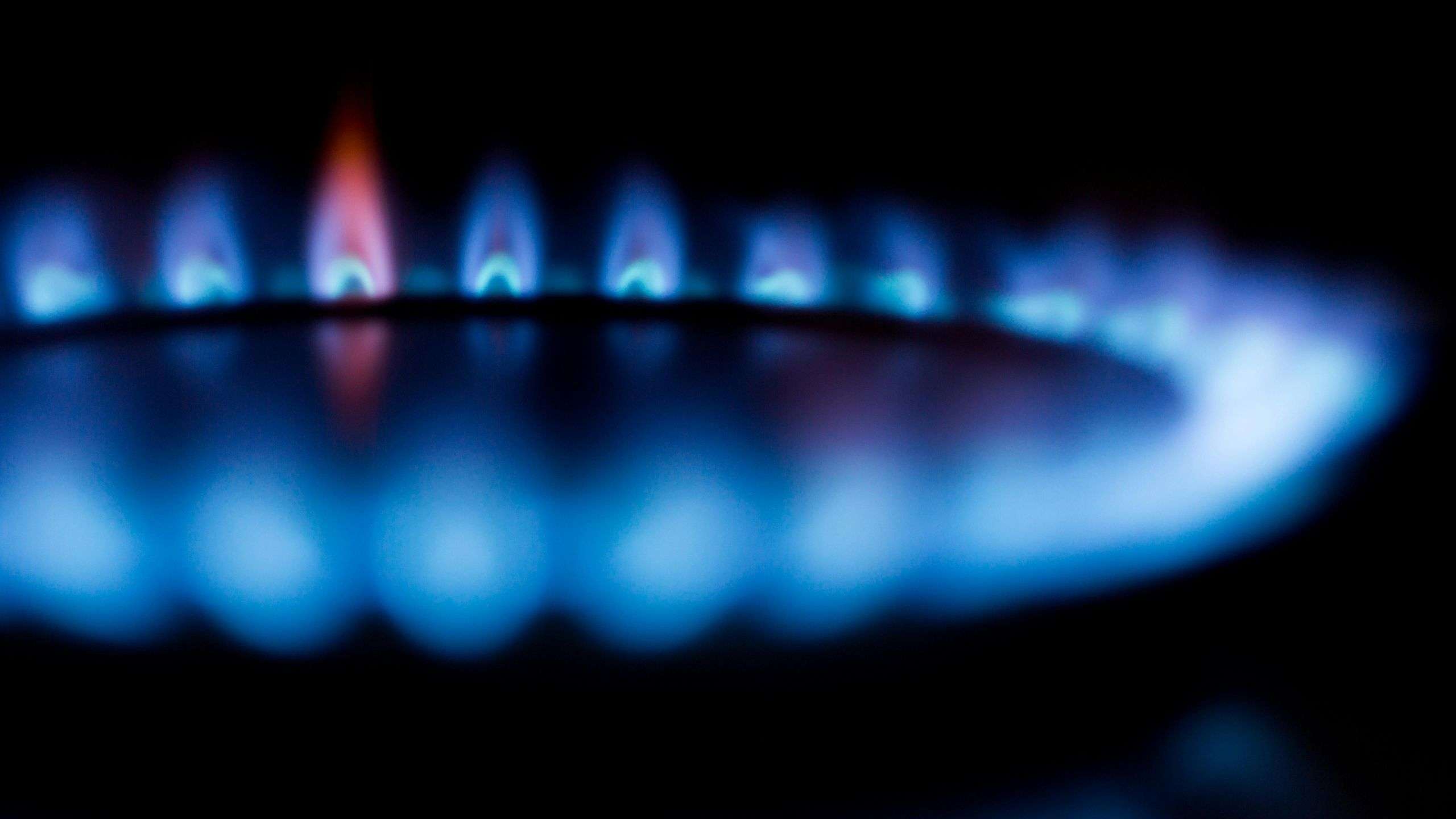 Risparmiare sulla bolletta luce e gas del prossimo inverno è ancora possibile con Octopus