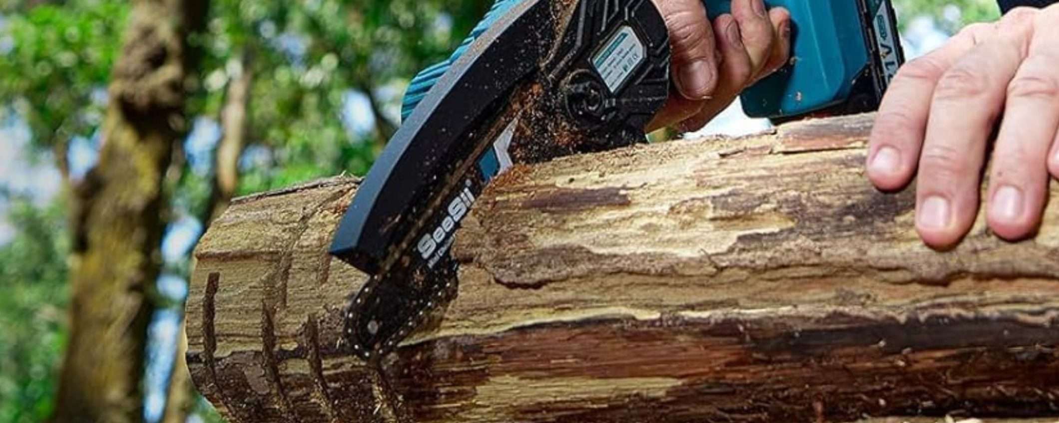 Con 35,99€ prendi questa BESTIA di motosega con 2 batterie e custodia (-40%) Con 35,99€ prendi questa BESTIA di motosega con 2 batterie e custodia (-40%)