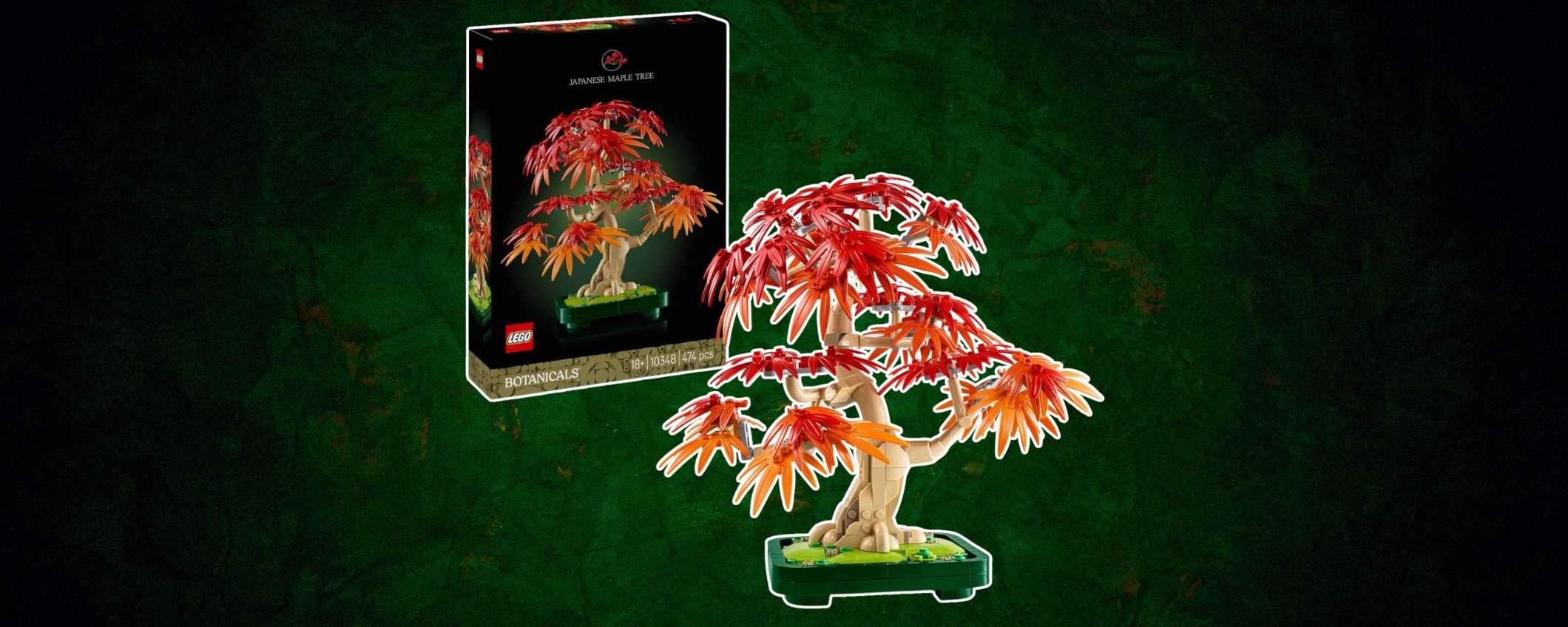 Set LEGO Bonsai Acero Rosso Giapponese: disponibile e in OFFERTA su Amazon (-17%) Set LEGO Bonsai Acero Rosso Giapponese: disponibile e in OFFERTA su Amazon (-17%)