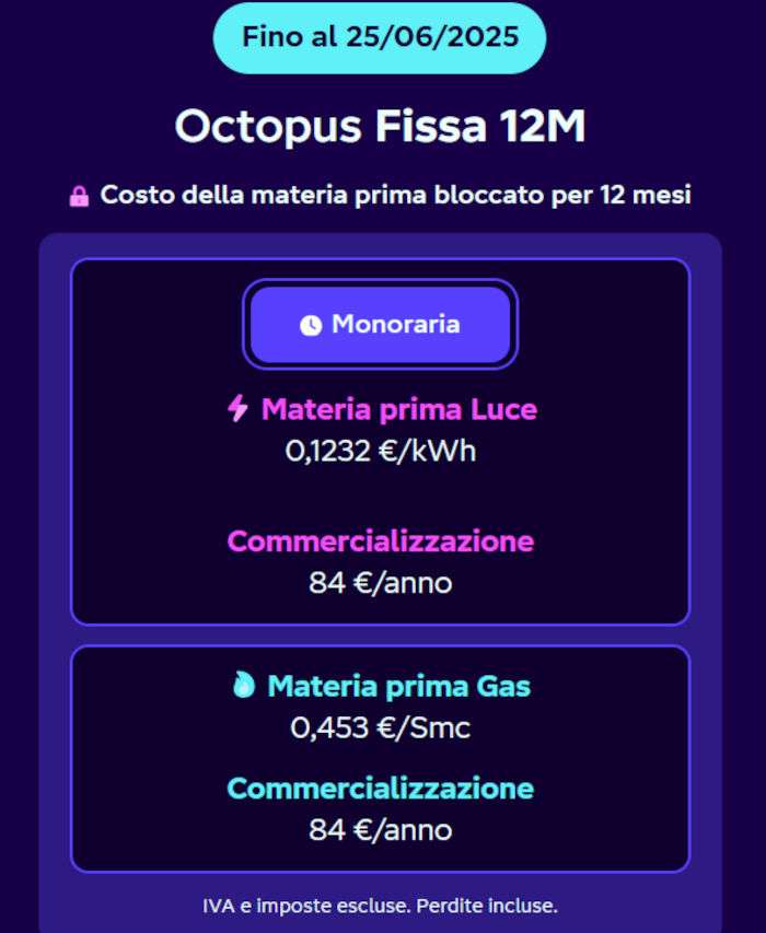 octopus fissa 12 mesi