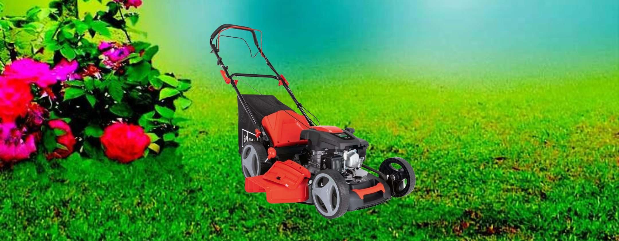 Honda HRH 536 HX tagliaerba professionale a scoppio 53 cm