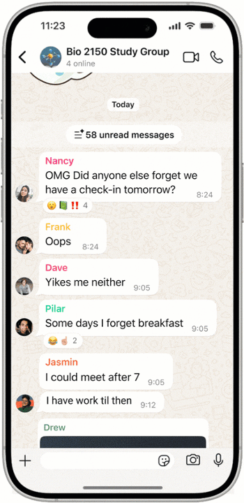 whatsapp riassunto messaggi Message Summaries