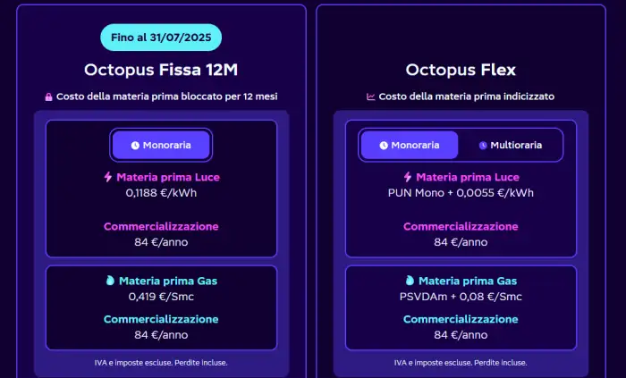 octopus energy
