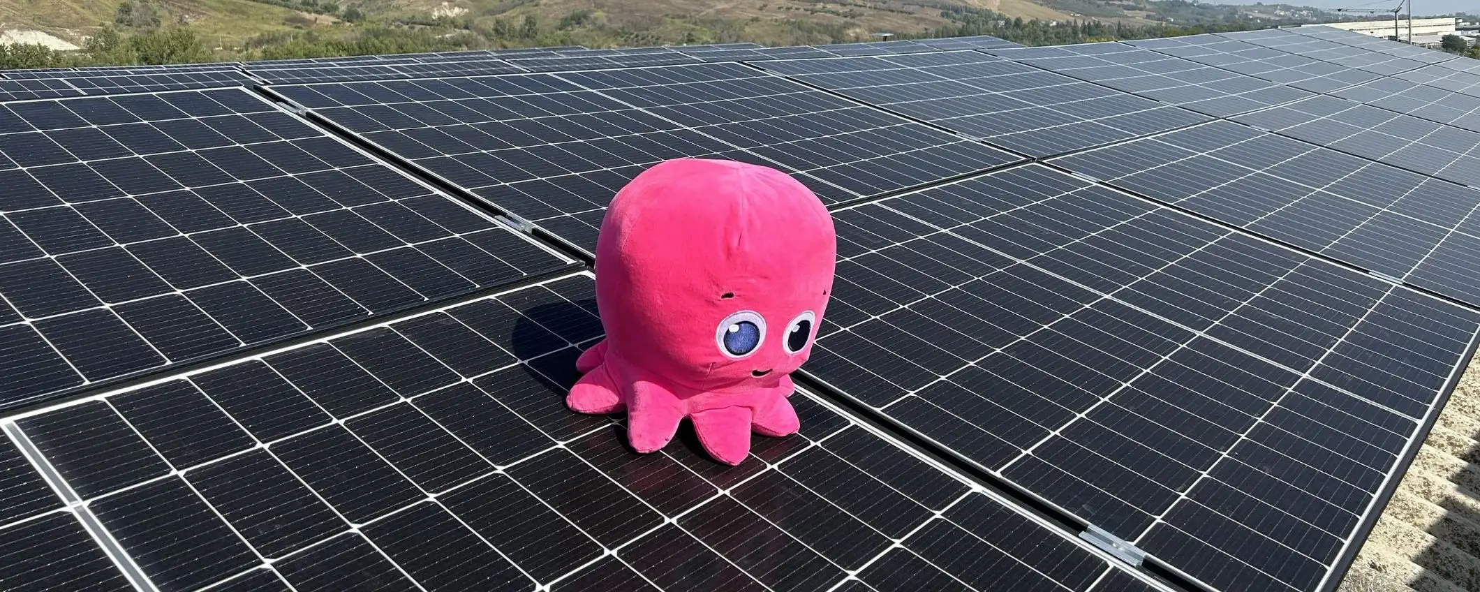 Octopus Energy: ancora per oggi luce e gas bloccati per 12 mesi
