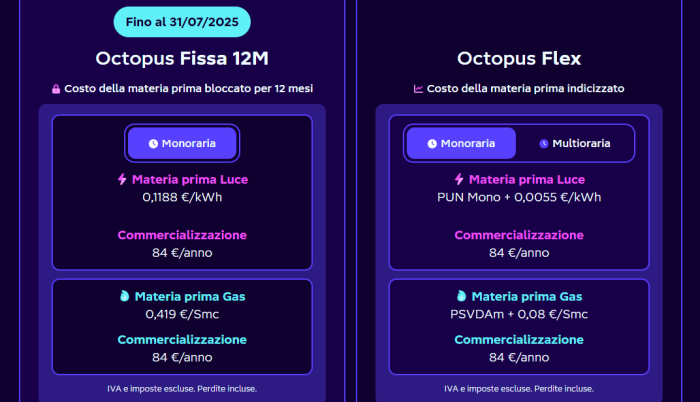 octopus energy conveniente