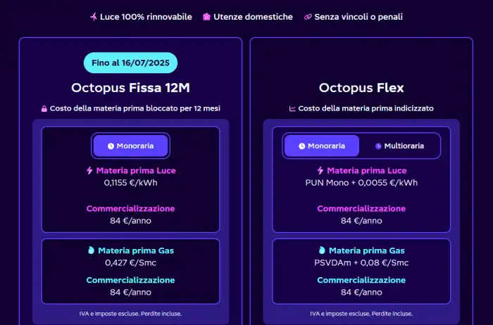 octopus energy luce e gas fissa e flex