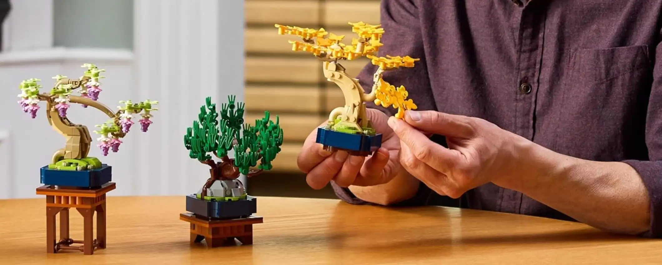Novità LEGO in uscita: il set Botanicals Mini Bonsai è ora su Amazon
