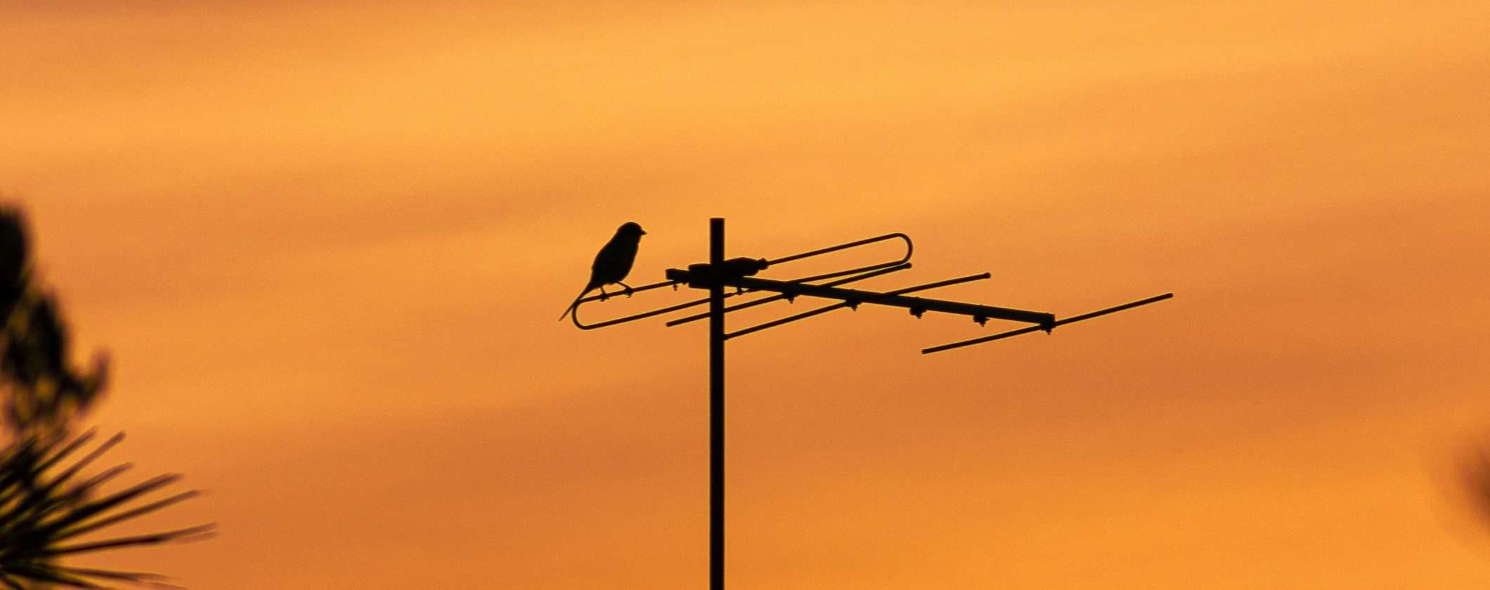 Digitale Terrestre: come assicurarsi di ricevere tutte le frequenze