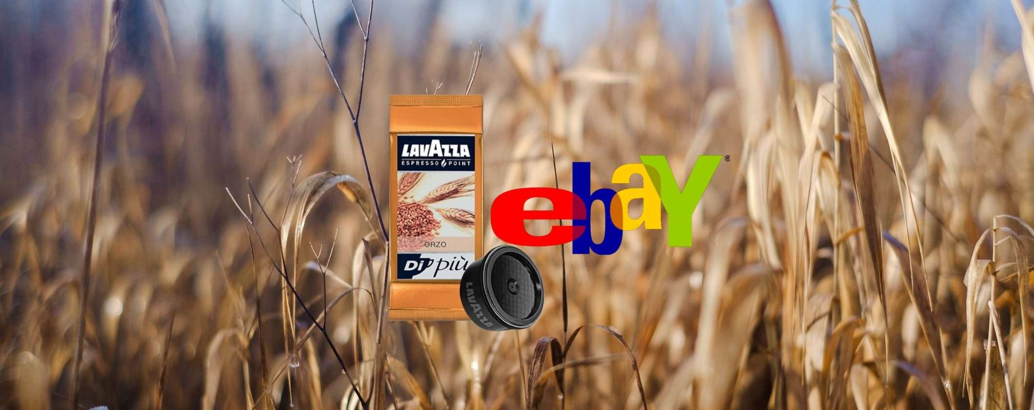 Capsule Lavazza Orzo Espresso Point a prezzo folle su eBay: scopri l'offertona Capsule Lavazza Orzo Espresso Point a prezzo folle su eBay: scopri l'offertona