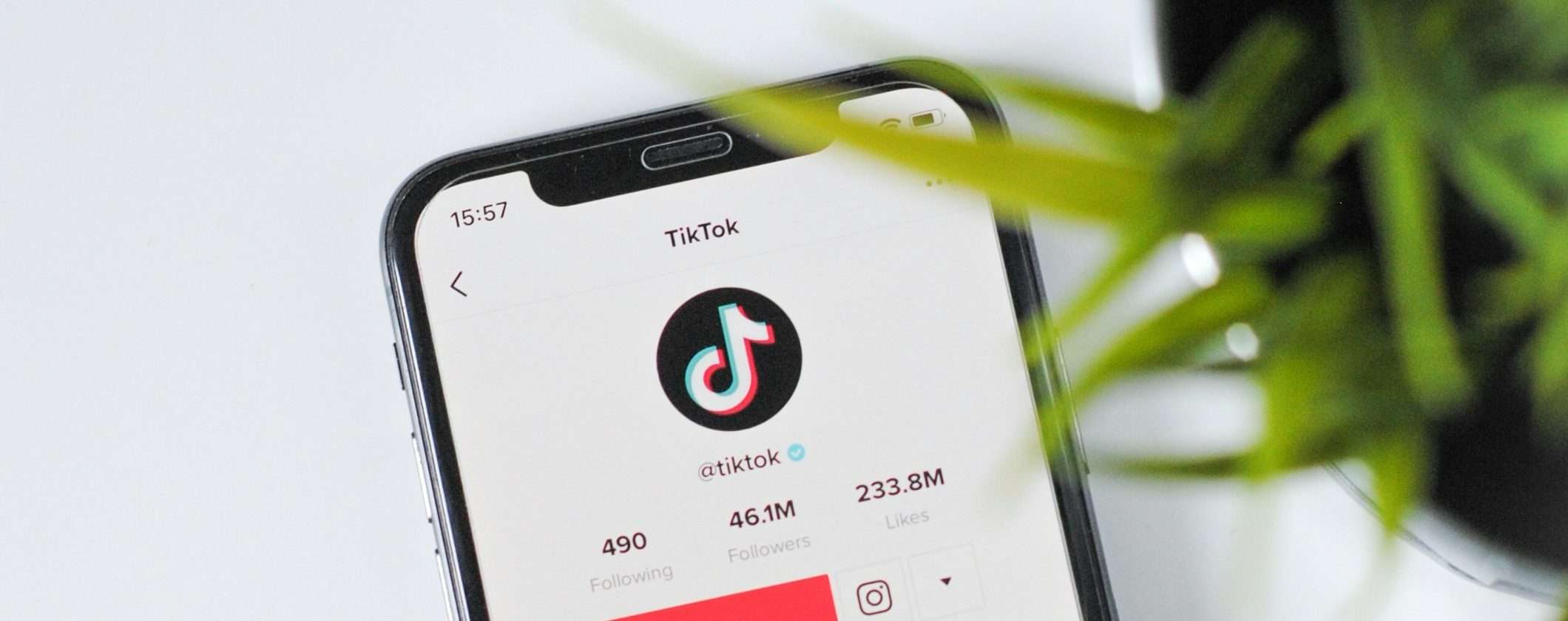 TikTok nei guai: il Garante accusa l’app di sfruttare i dati dei bambini