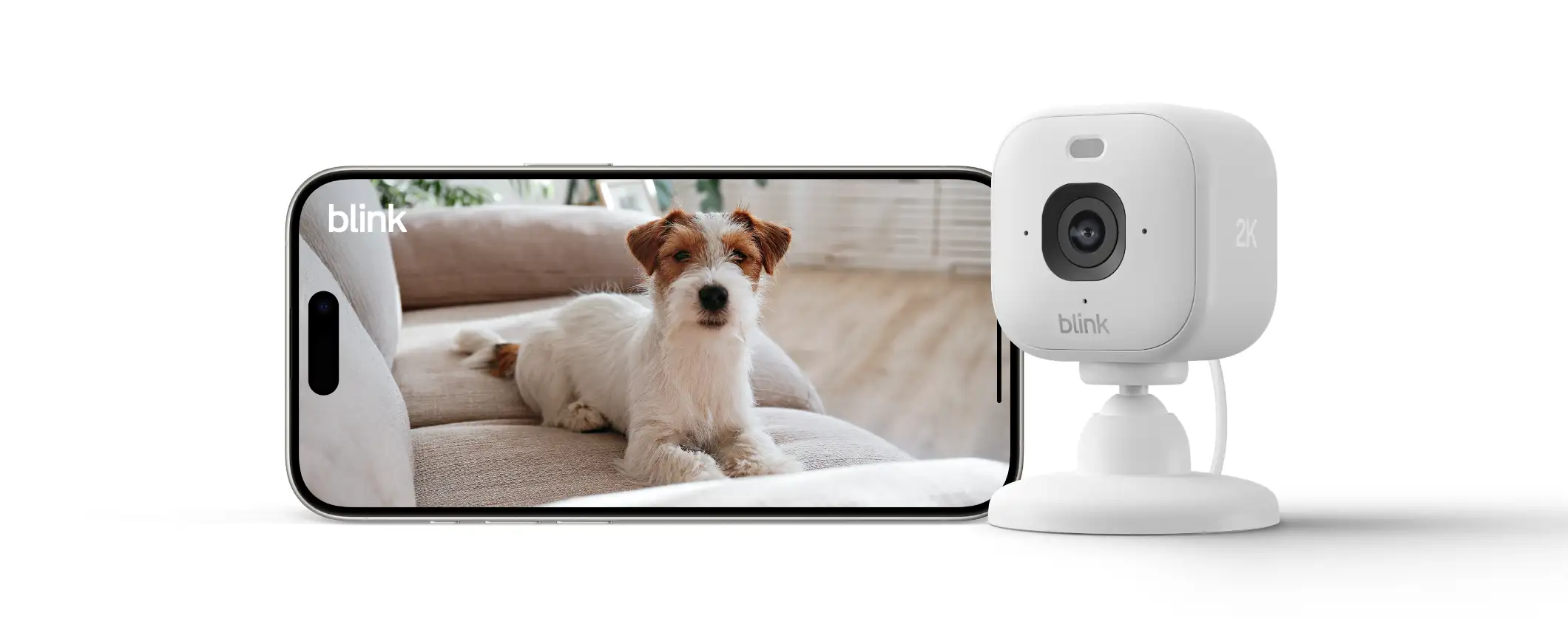 Amazon: da oggi in Italia la videocamera Blink Mini 2K+ e il supporto Blink Arc Amazon: da oggi in Italia la videocamera Blink Mini 2K+ e il supporto Blink Arc