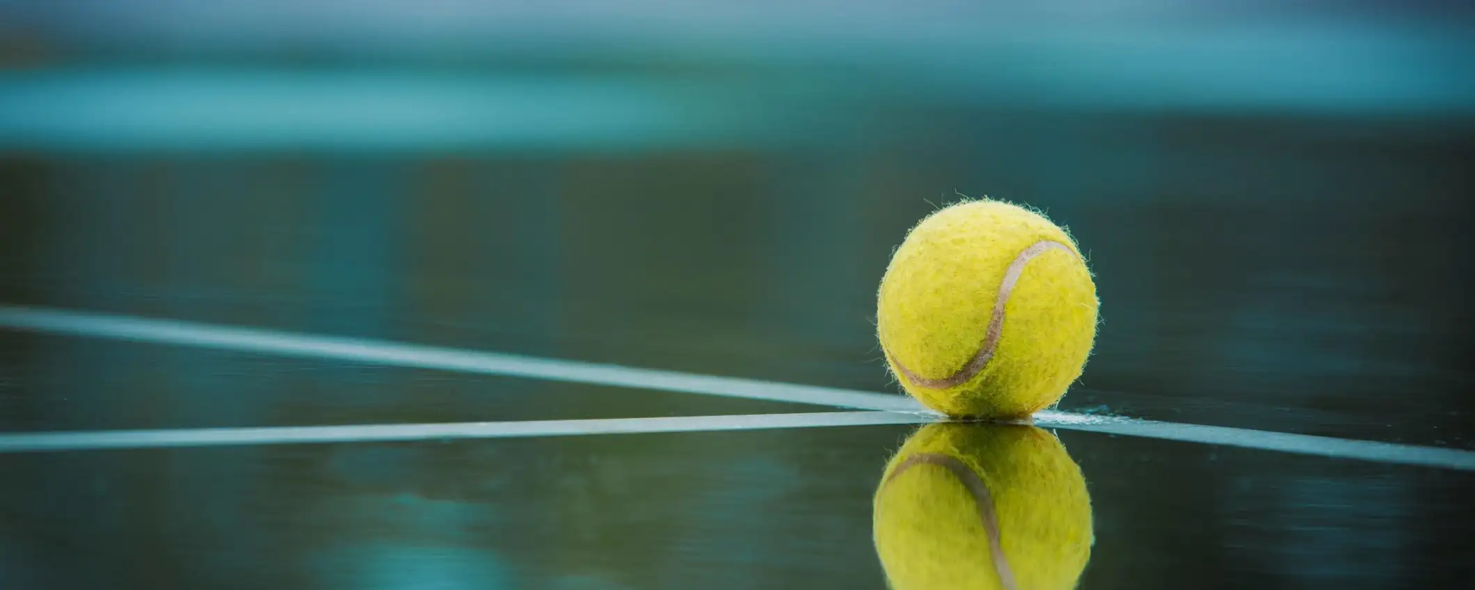 ATP Parigi: come vedere semifinali e finali in streaming, anche dall'estero ATP Parigi: come vedere semifinali e finali in streaming, anche dall'estero