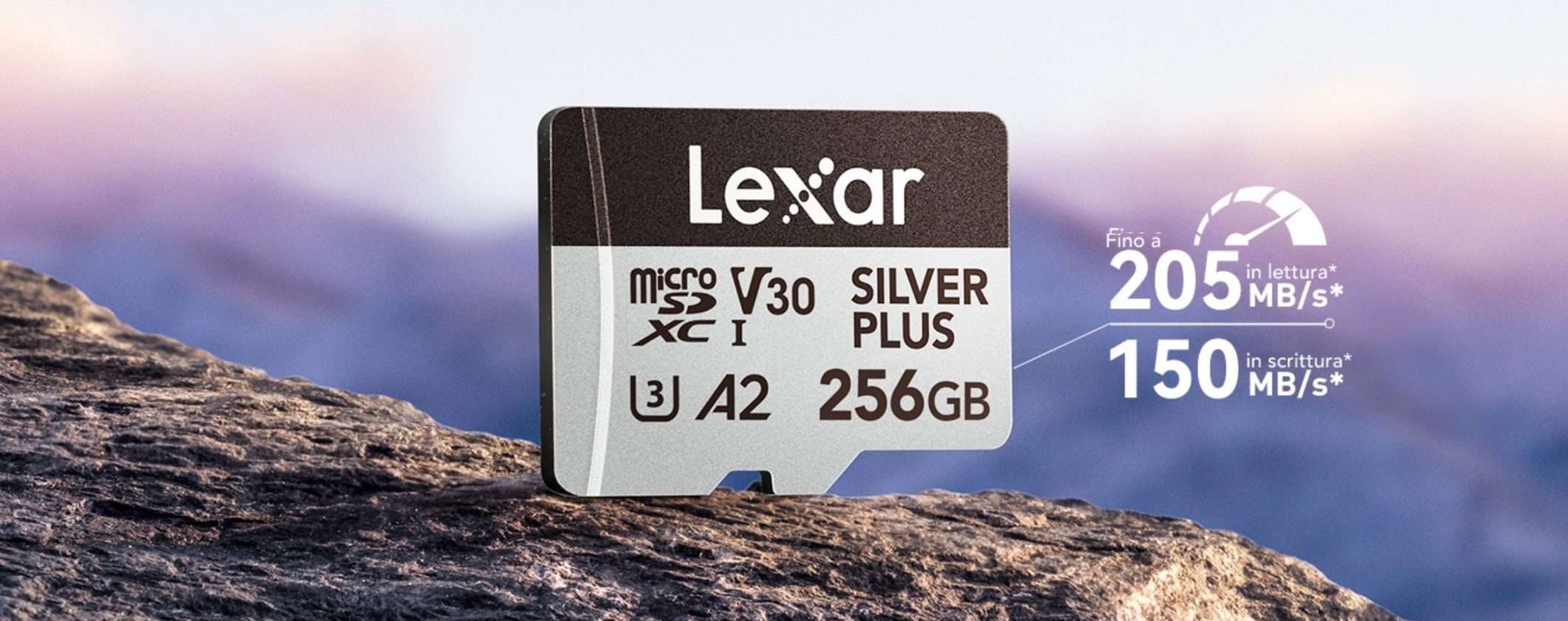 Offerta pazzesca: MicroSD Lexar Silver Plus 256GB a meno di 30€ Offerta pazzesca: MicroSD Lexar Silver Plus 256GB a meno di 30€