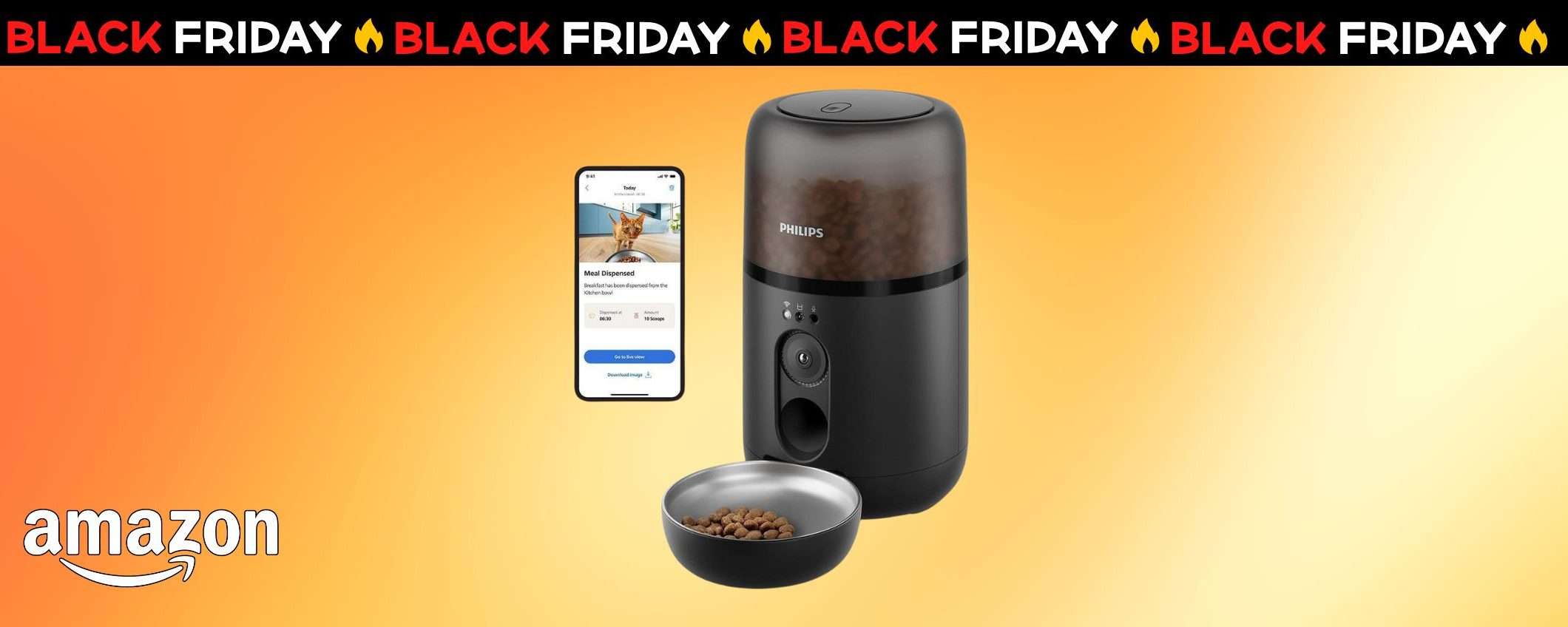 Distributore crocchette per gatti con telecamera: prezzo MAI VISTO su Amazon