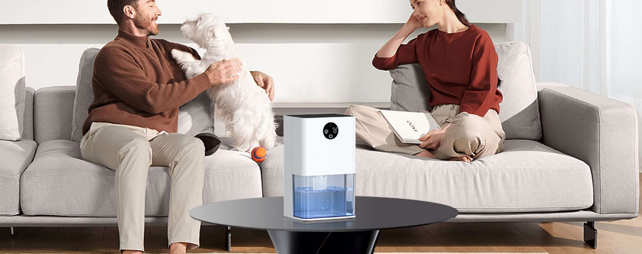 ADDIO MUFFA in casa con questo Deumidificatore Portatile a soli 43€ su Amazon