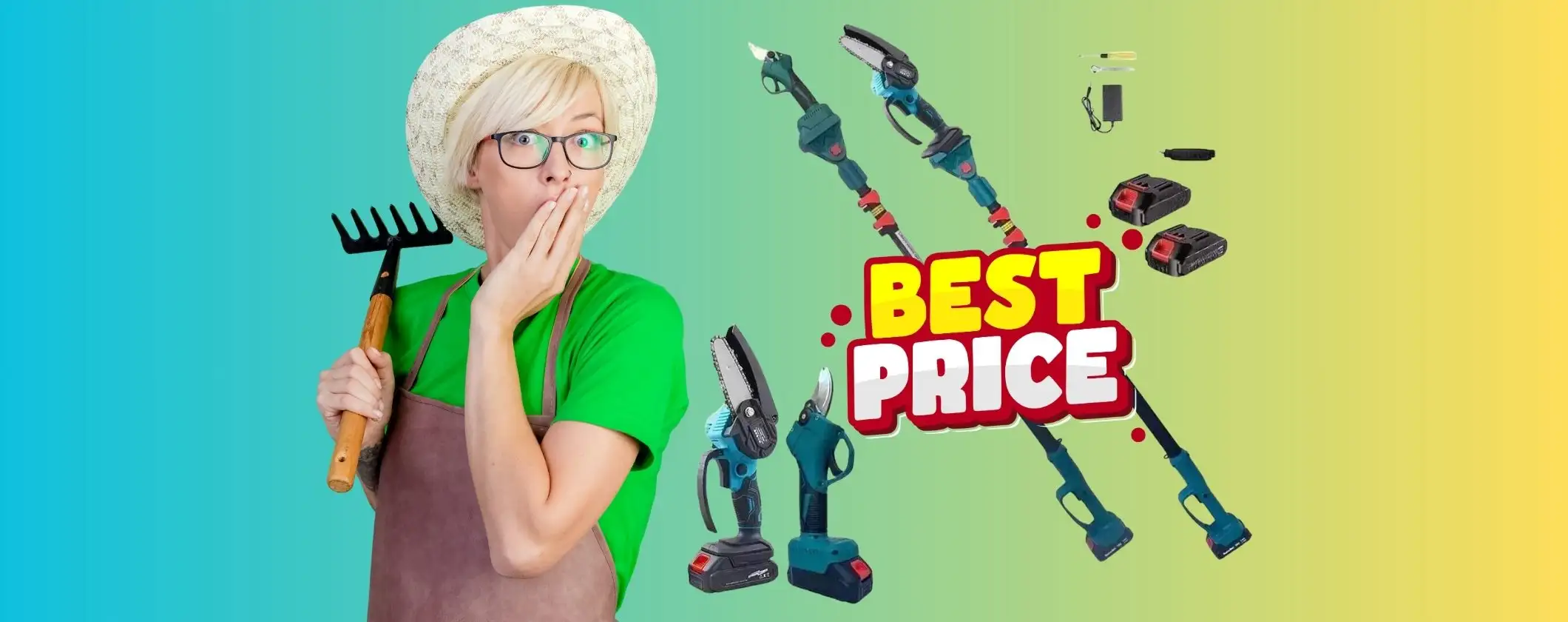 Kit per potatura semplice e veloce con mini motosega elettrica a prezzo sciolto