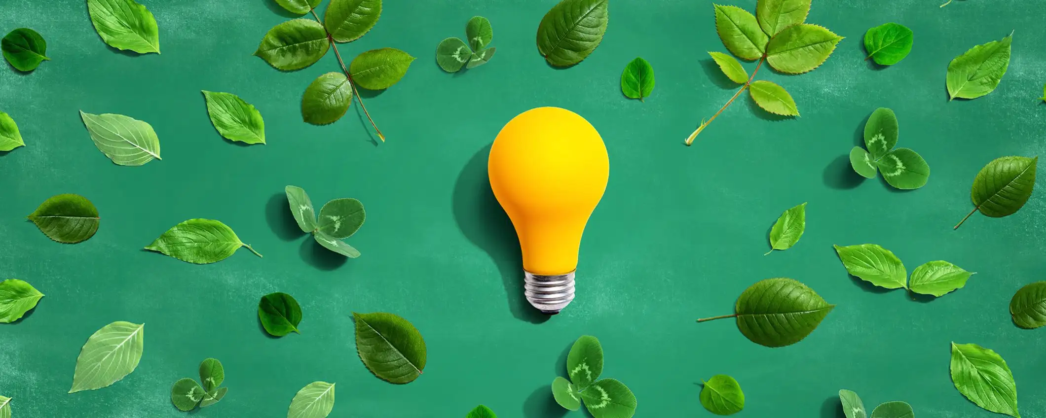 Fai respirare la tua bolletta: luce e gas bloccati per un anno con Octopus Energy