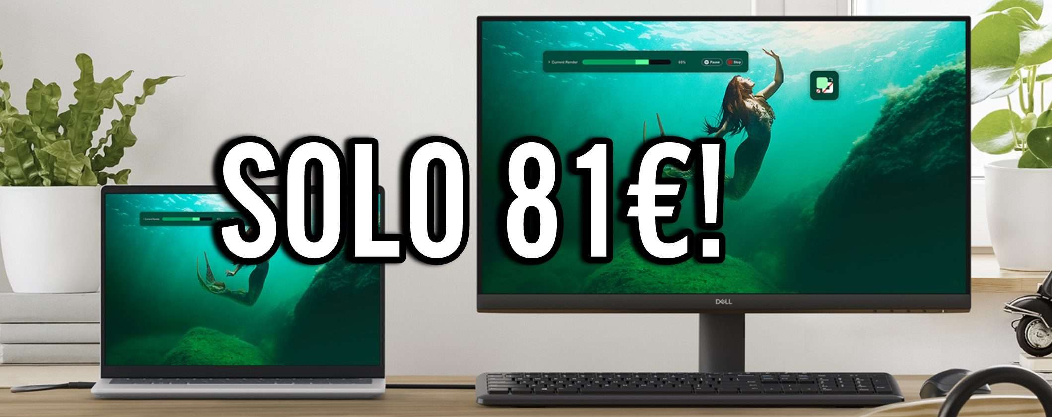 Splendido Monitor Dell Full HD 24