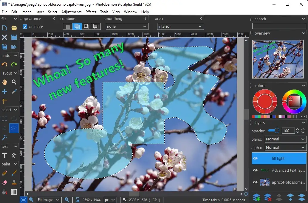 PhotoDemon, l’alternativa gratuita a Photoshop che sorprende per potenza e leggerezza