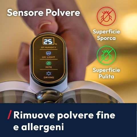 Battimaterasso polvere