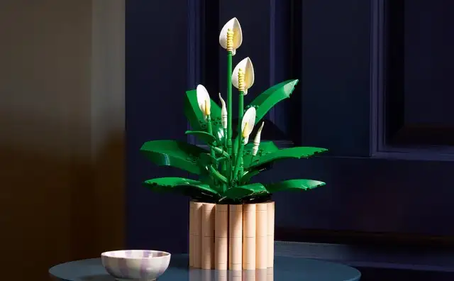 LEGO Botanicals Spatafillo