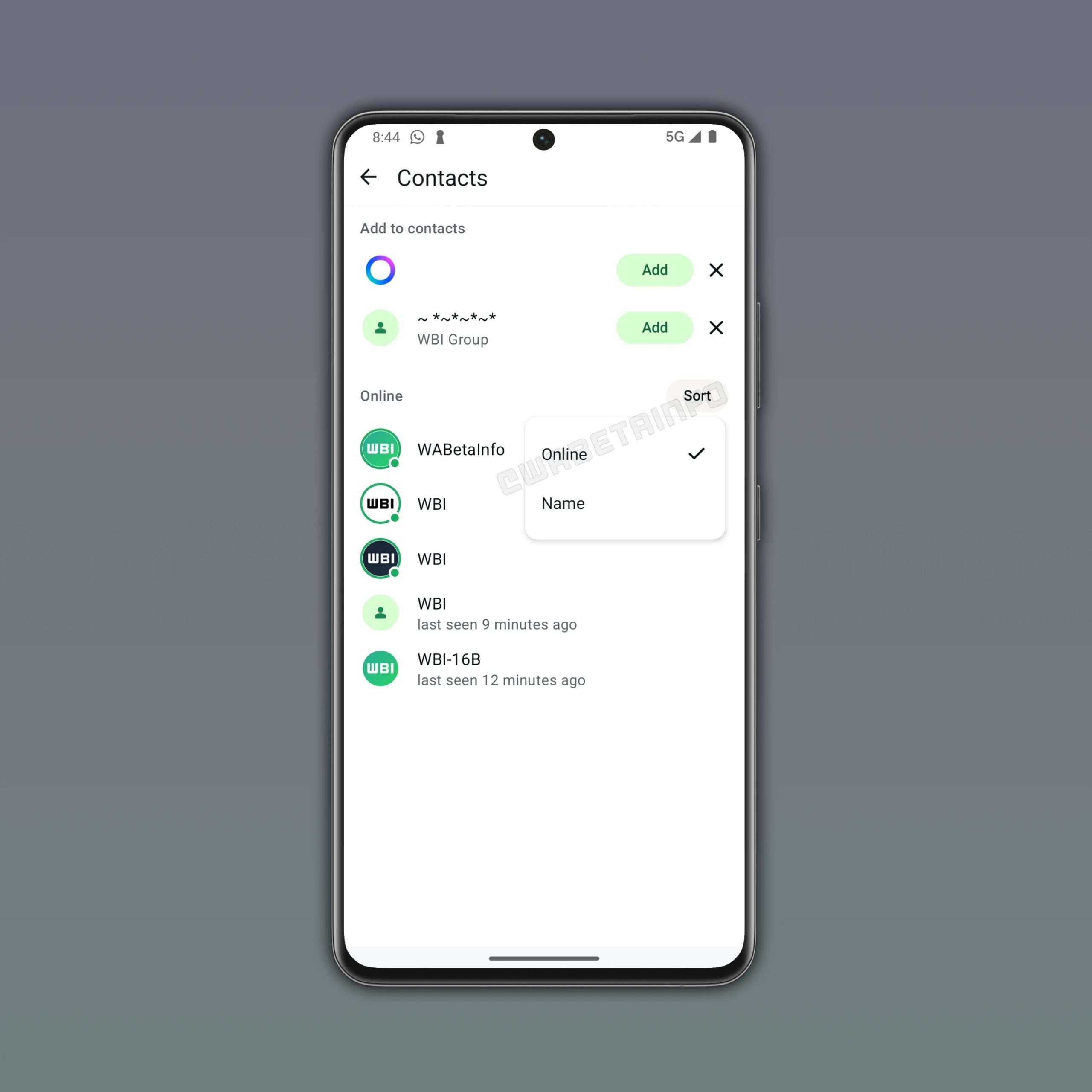 WhatsApp contatti online