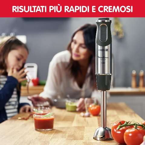 Frullatore a immersione moulinex
