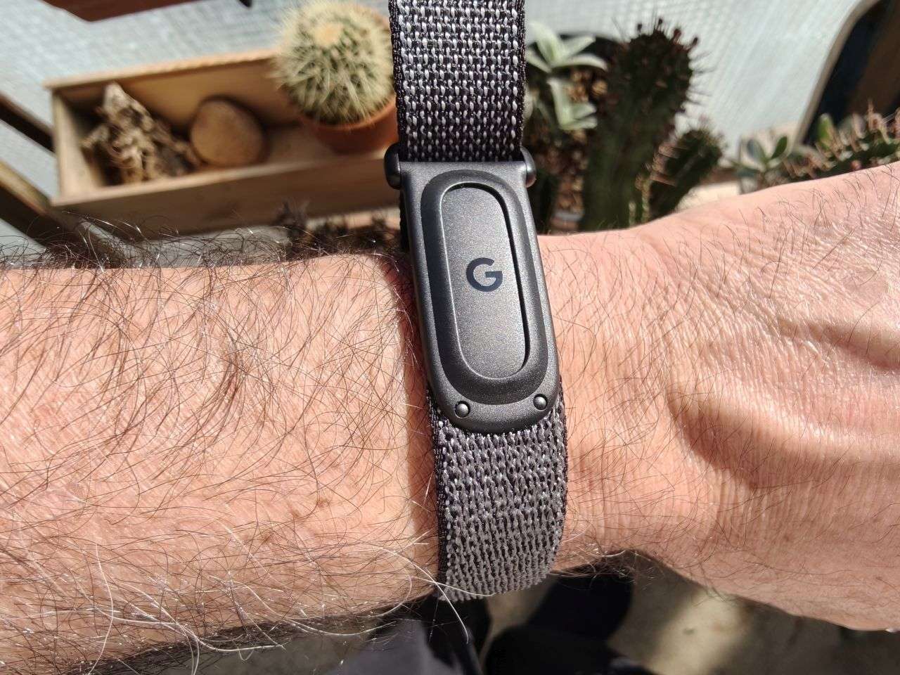 fitbit air logo google