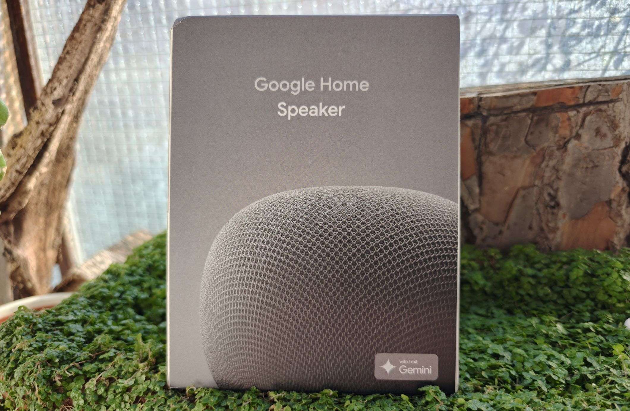 google home speaker confezione