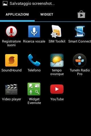 Acer Liquid Z3