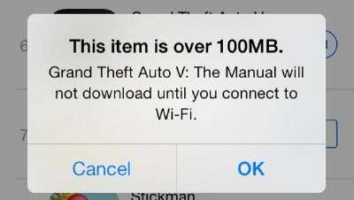Apple 100MB