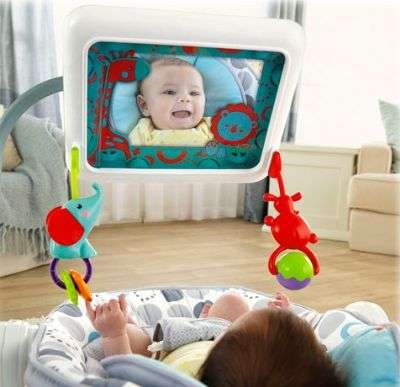 Fisher Price Newborn-to-Toddler Apptivity Seat for iPad