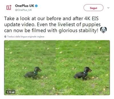 Il tweet di OnePlus UK