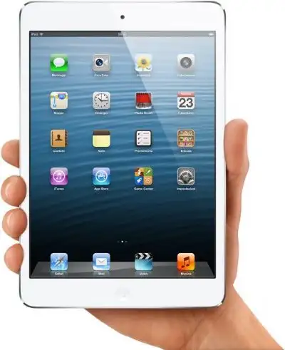 iPad mini