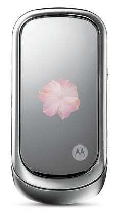 Motorola Pebl Rose Bloom