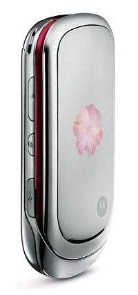 Motorola Pebl Rose Bloom