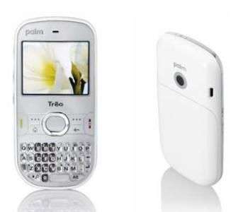Palm Wanda