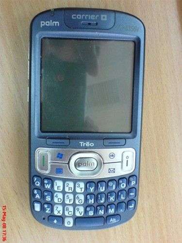 Palm Zeppelin