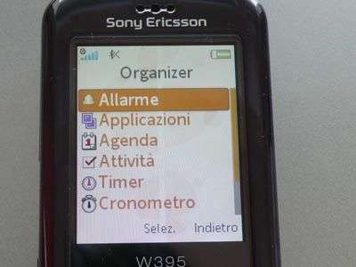 Sony Ericsson W395 