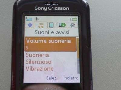 Sony Ericsson W395 