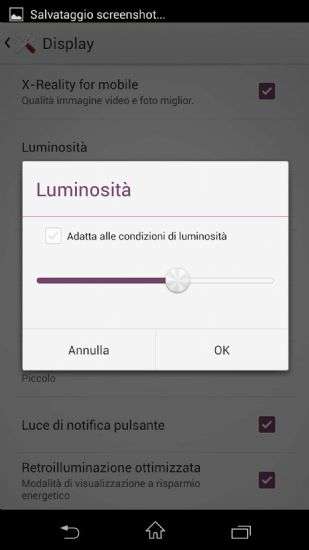 Sony Xperia Z1