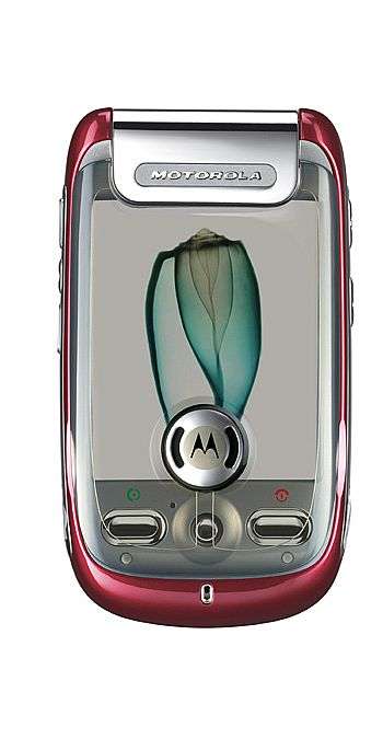 Motorola Ming